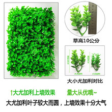 ƺСȼGֲb҃ȵ̨T^ڒmƤ