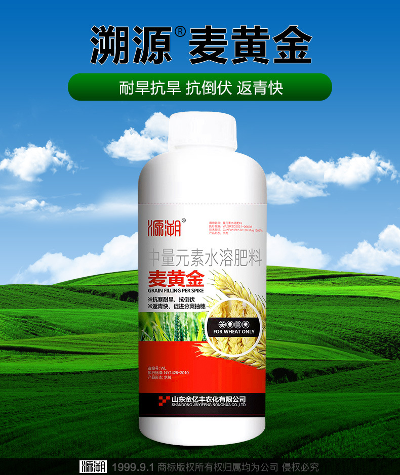 �����--����ҳģ��_04