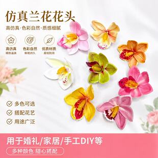 �����zƬޥ�m��������^�����������l��������в��ϰ��仨