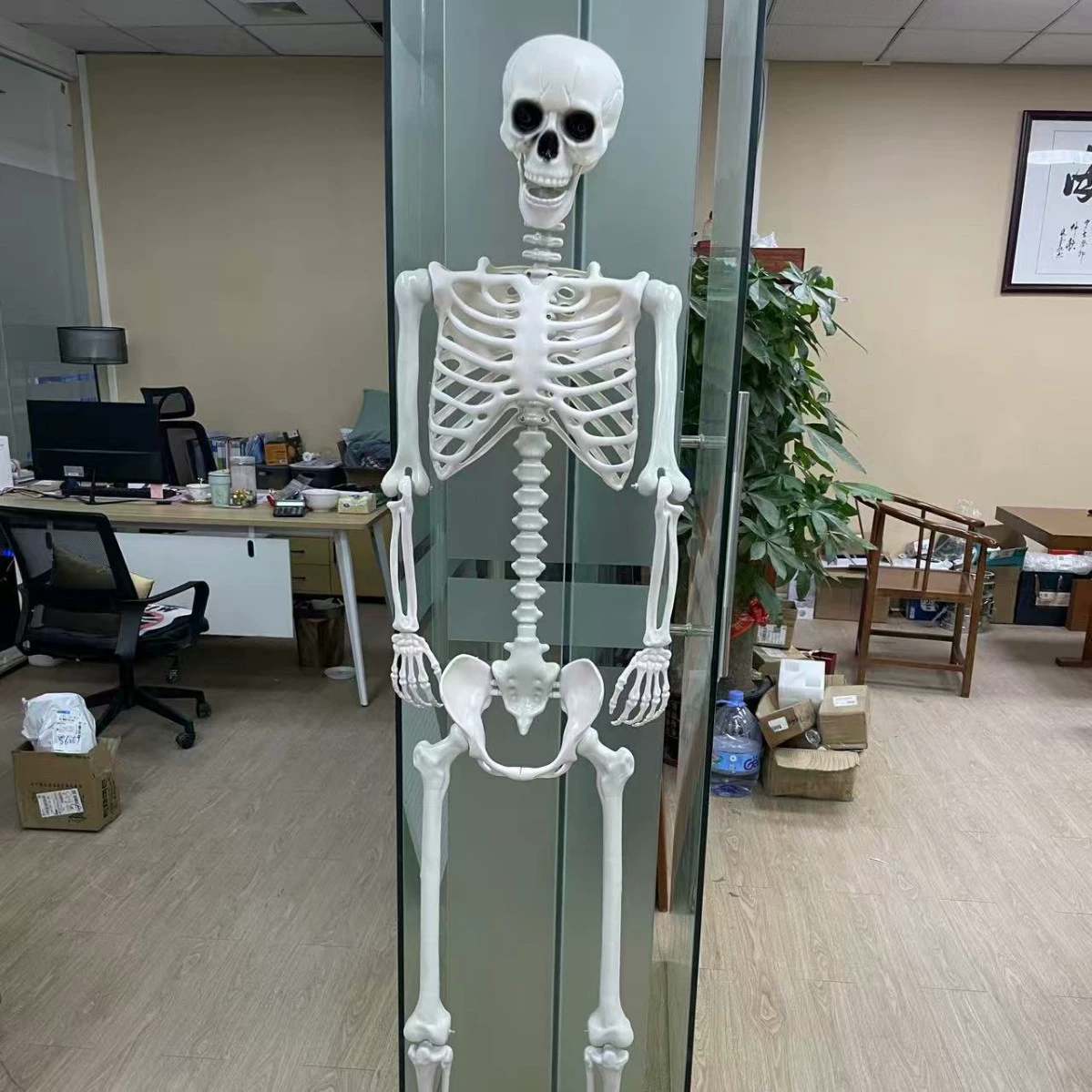 Adjustable human skeleton, (Cross-border trading), 40cm, halloween