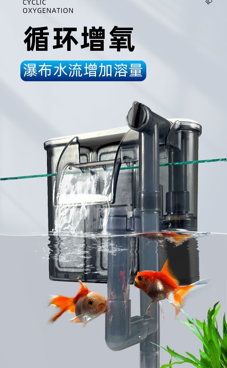 5bdbe164-24cb-4d9b-9ca0-3053cf3d4eb3.jpe