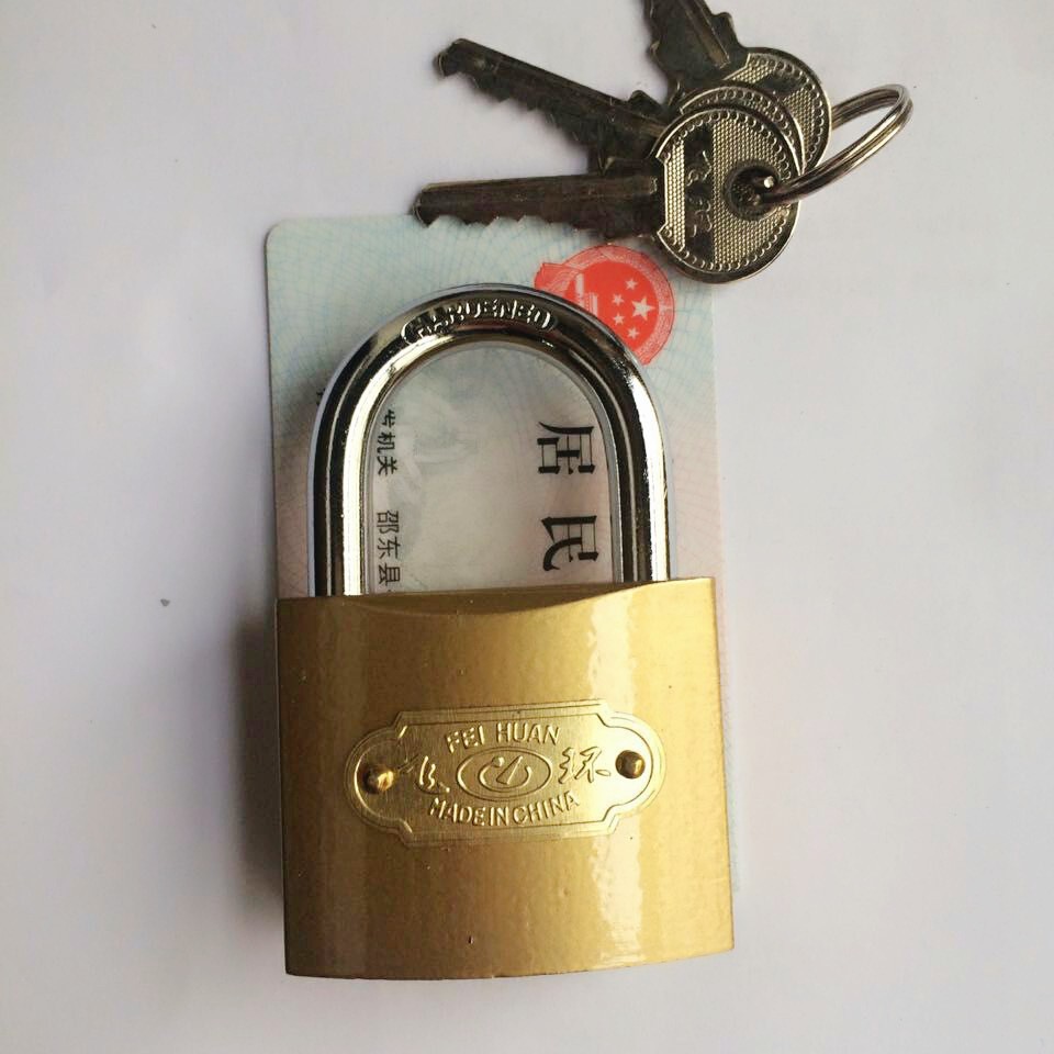 Cerradura de anillo volante cerradura de bloqueo de Internet café cerradura de caja de medidor eléctrico cerradura de cobre cerradura cerradura de gabinete cerradura pequeña cerradura