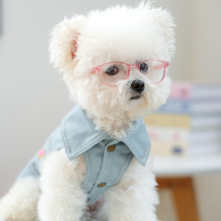 in stock cross-border explosions pet ring source factory pet dog dog glasses cat sunglasses sunglasses photo props