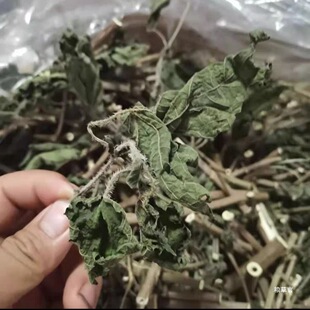 ����t�����n��ݻ���e���t����  ���~ϐ�Ӳ� ������؛��؛