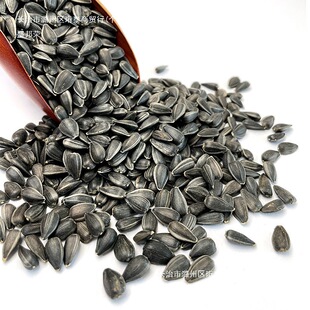 ����]С�W�^�Bʳ����͹��ӿ�������B�Z������}�������Z����