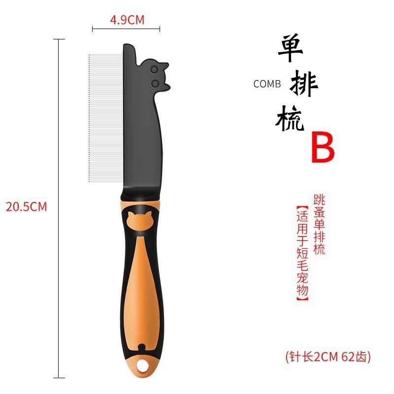 섹션 B
