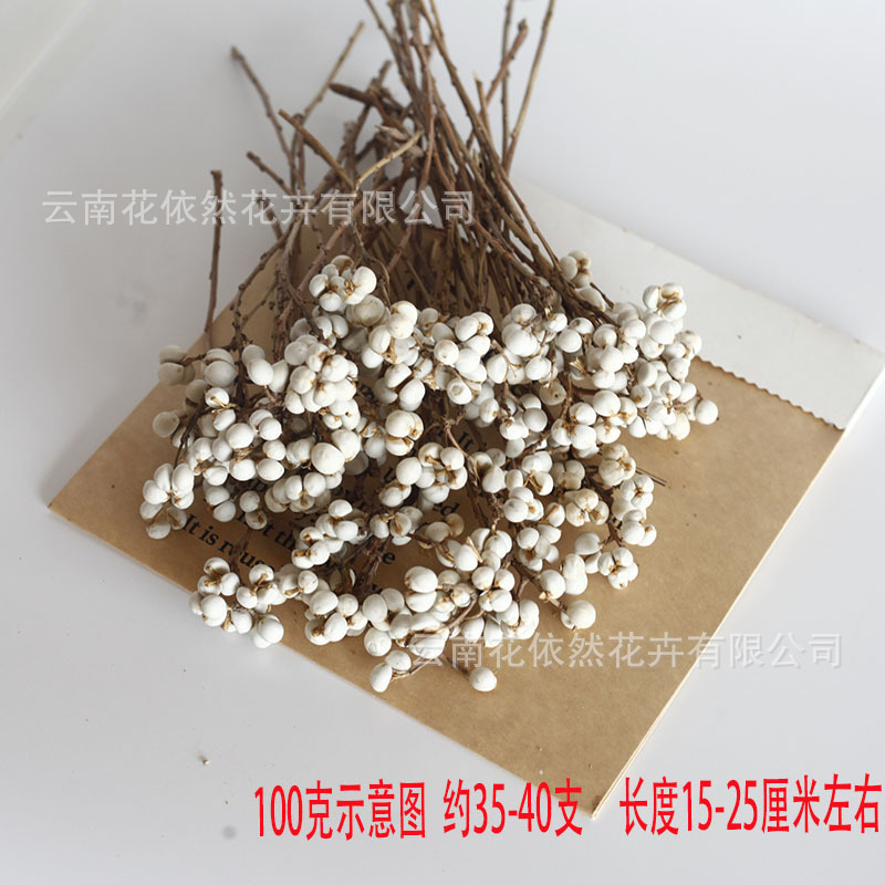 Flor seca Flor eterna Gypsophila Bola de oro No me olvides Flor seca Rosa hoja de eucalipto Pine Fruit Lover Grass al por mayor