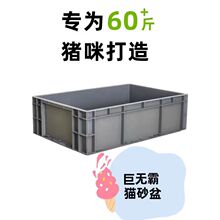 ��؈ɰ��0�ش�̖����4ȫ�޴�ﾒ��؈؈��̖���DС̖���b�����