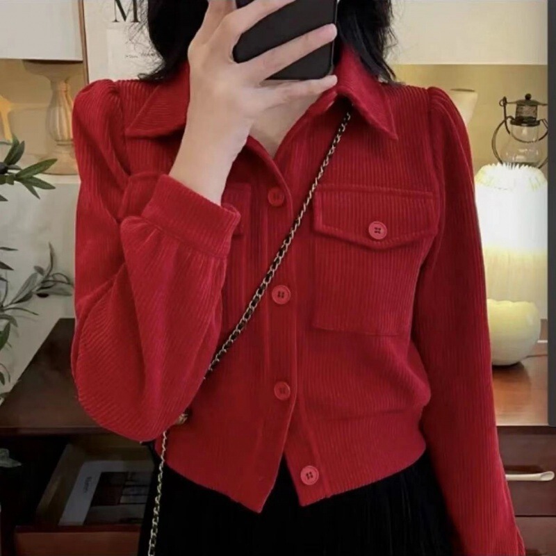 2024 Spring Wear Autumn and Winter New Elegant Lapel Short Top All-match Slim-fit Korean Style Slim-fit Shirt Coat Women