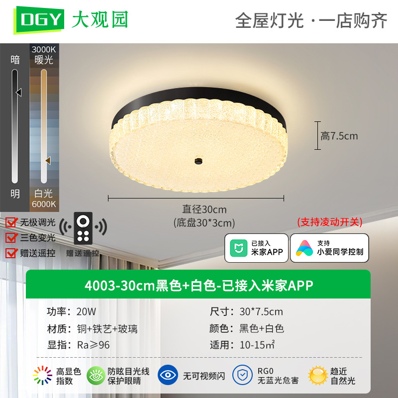 4003 - 30cm Negro - Conectado a Mijia APP - 20W - Espectro completo