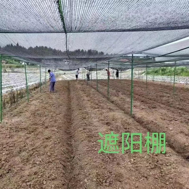 玻璃纤维管百香果遮阳网立柱防寒架避雨棚大棚支撑杆生蚝养殖排杆|undefined