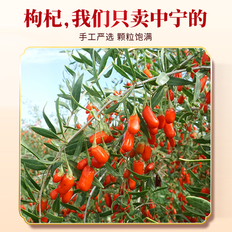 Ningxia Goji Berries 250g Premium Grade Unsulfured Dried Wolfberry Fruit Ready to Eat quality and texture