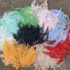 Natural Real Flower Nettles Everlasting Dried Flower Bouquet, Forest Style Flower Arrangement Decor, Wedding Decoration, Counter Window Soft Decoration Matching