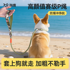 Pロープ犬用リード、中小型犬用お出かけ犬用リード、大型犬用防爆結び目ペット用リード
