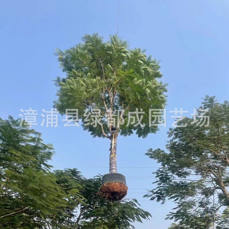 发布供应商品 - 1688.com  全球领先的采购批发平台