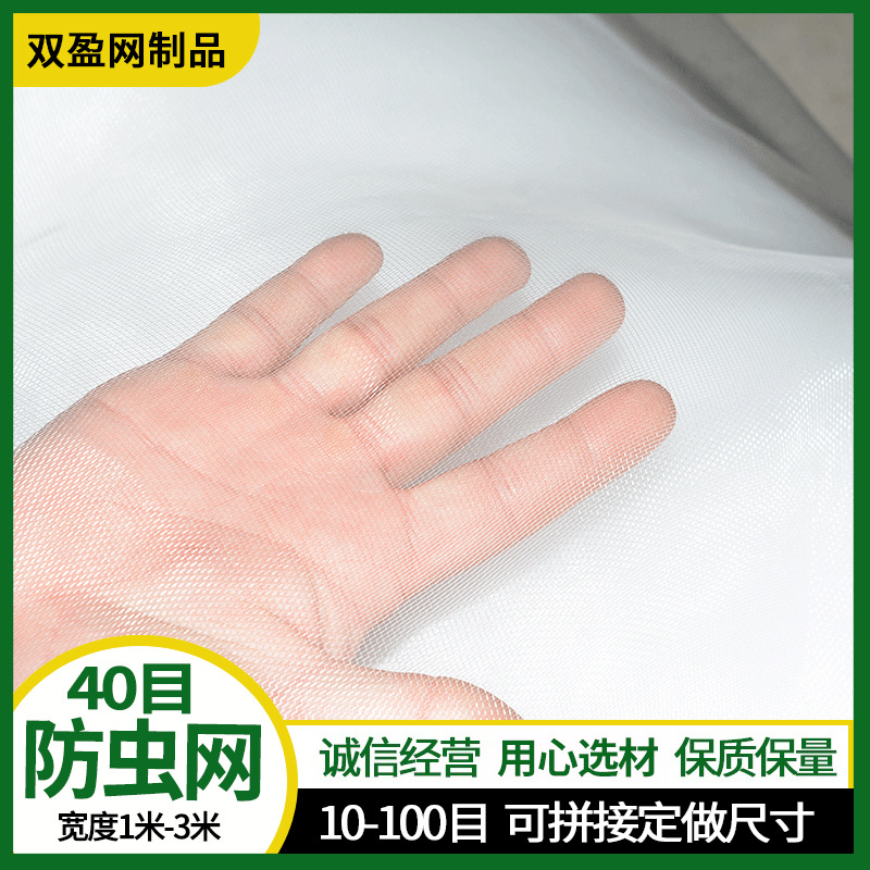 批发果树防虫防鸟网 农用大棚蔬菜养殖网 尼龙供应防虫白网瓜棚网
