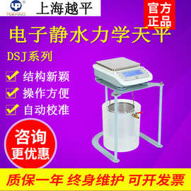 上海越平DSJ-2电子静水力学天平