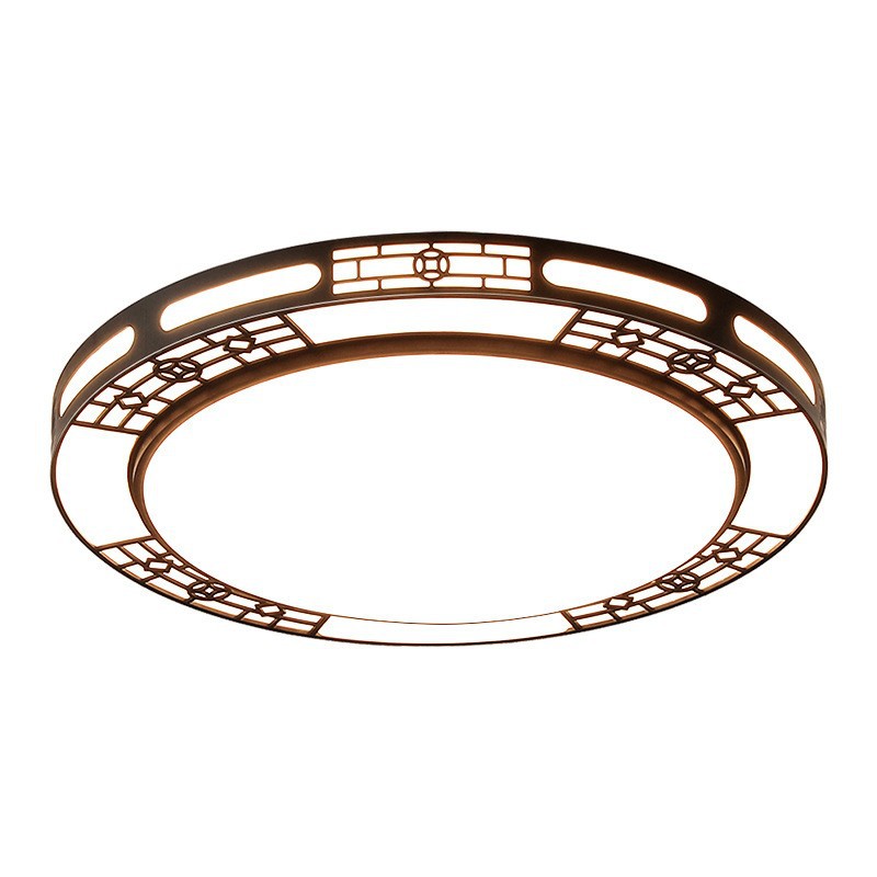 LED modern ceiling light