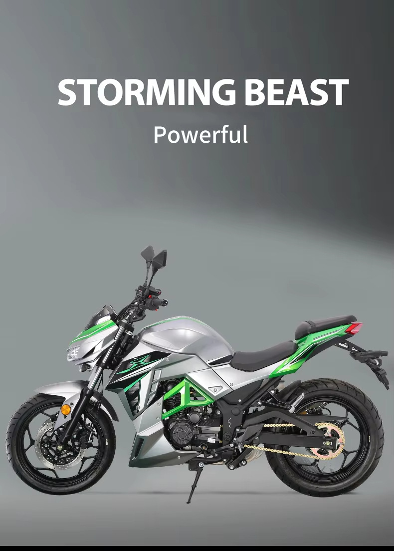 New Xixi Brand New Python Dms Motorcycle Sports Car Large Displacement Adult Cool High-Speed Motorcycle Racing Air-Cooled