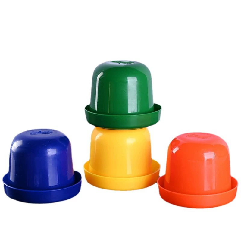 Color cup with 5 dice, zero purchase