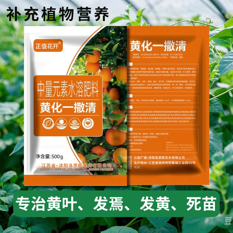 黄化一撒清果樹黄花撤去専用薬除去微量元素水溶肥改善葉黄化転緑霊|undefined