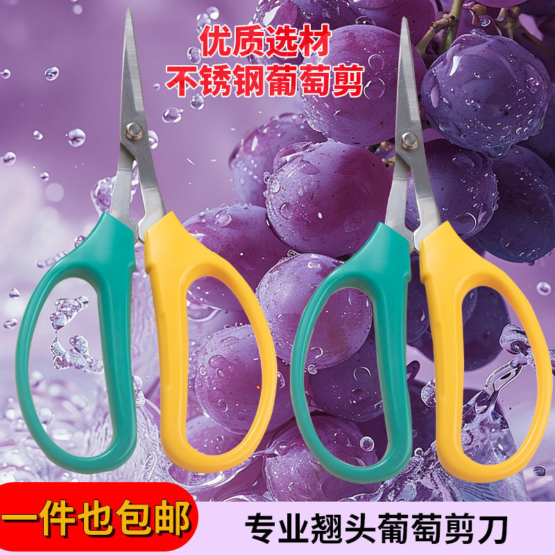 不锈钢防锈园林葡萄园专用摘果剪修果剪园艺翘头葡萄剪