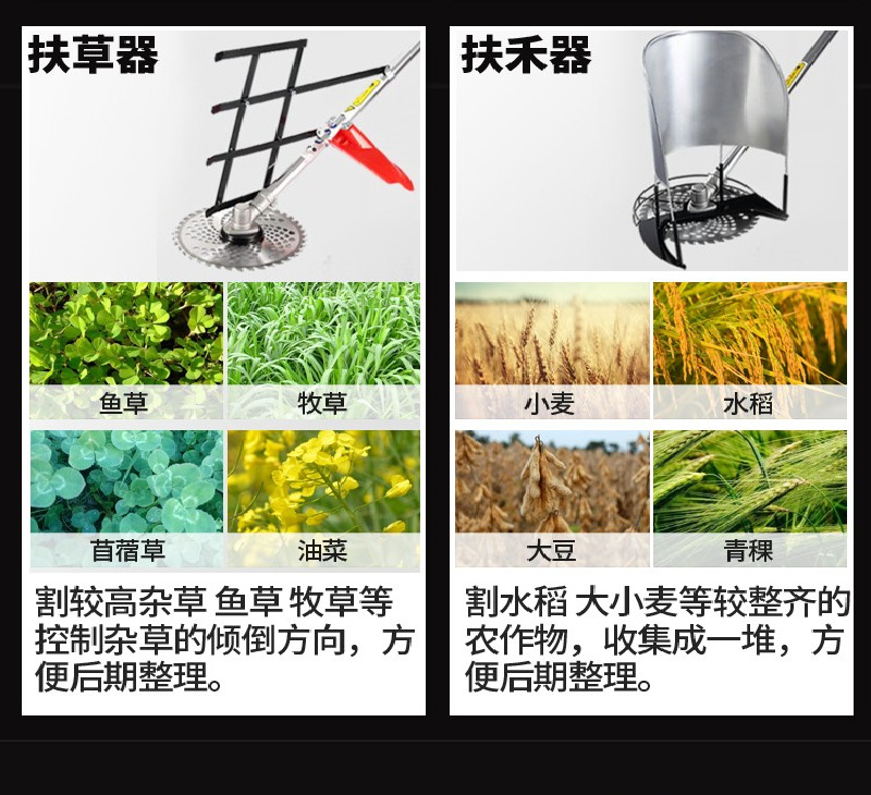 微信图片_20240723103547.png