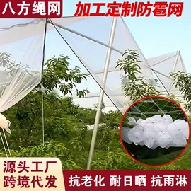 遮阳网;盖土网;防雨布