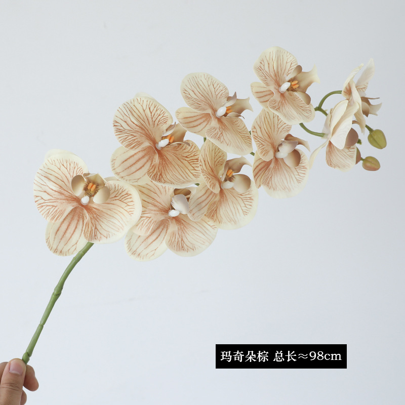 마끼아또 브라운