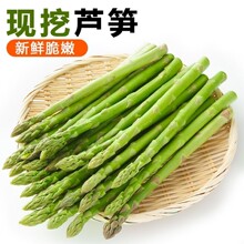 农场直发鲜嫩山东芦笋新鲜蔬菜龙须菜青笋整箱春笋头茬绿芦笋榨汁