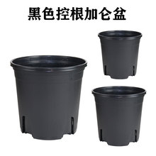 �S��ֱ�����G�ظ��Ӂ���Ӻ��R�d�羳���ؾG؛����Nֲ���ϻ���