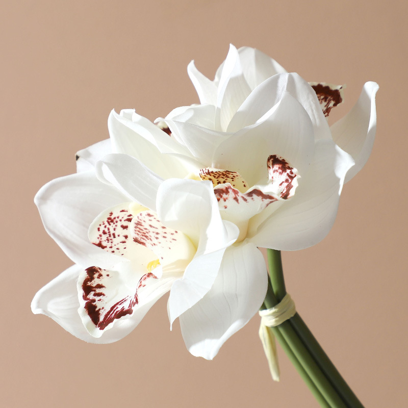 Orquídea Cymbidium falsa de alta calidad, decoración para sala de estar y bodas