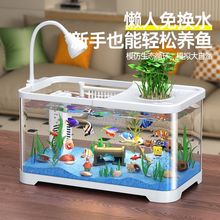 ~СͿ͏d2025¿쾰B^VһwC~ˮ