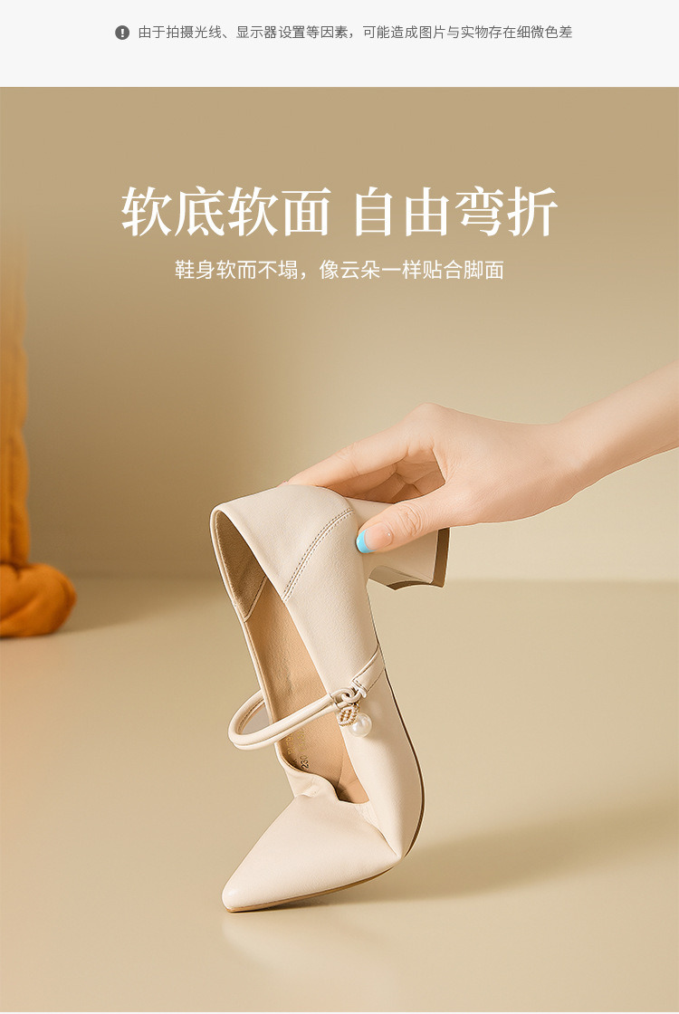Giày Mary Jane nữ quai ngang khóa cài, mũi nhọn gót cao kiểu Pháp — BL793 Hạnh chi tiết 6