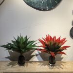 仿真植物多肉龙舌兰虎皮兰森系景观工程布景装饰橱窗婚庆造景摆放