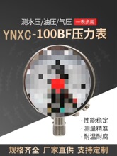 304���P�����늽��c������YNXC-100BF����ʽ�_�Pؓ����տ����