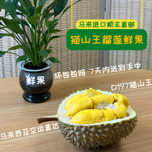 D197�R��������ժֱ�]؈ɽ����ɏ�r�����rˮ����S���]��Ȼ����