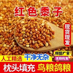 �����t��������w�����|���^������������ӎ����B�Z�Bʳ�W�^���