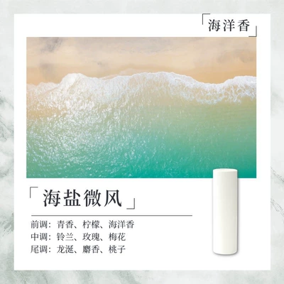 with Smart Cockpit Models Car Perfume Aromatherapy - sea-salt-breeze-10538mm