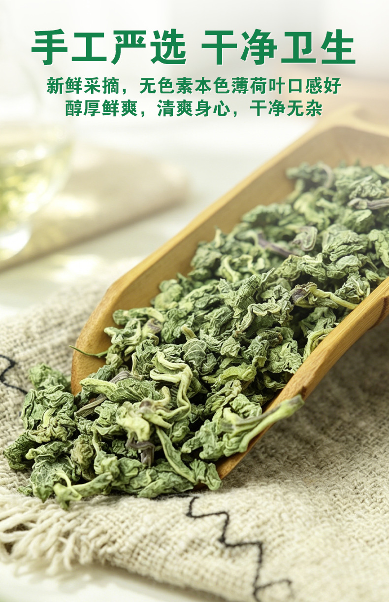 Mint Leaves (Mentha haplocalyx) — Dried Food-Herb Mint Tea for Brewing & Blending in use