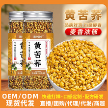 黄苦荞四川大凉山全胚芽荞麦茶三绛干吃泡水养生茶灌装茶现货批发