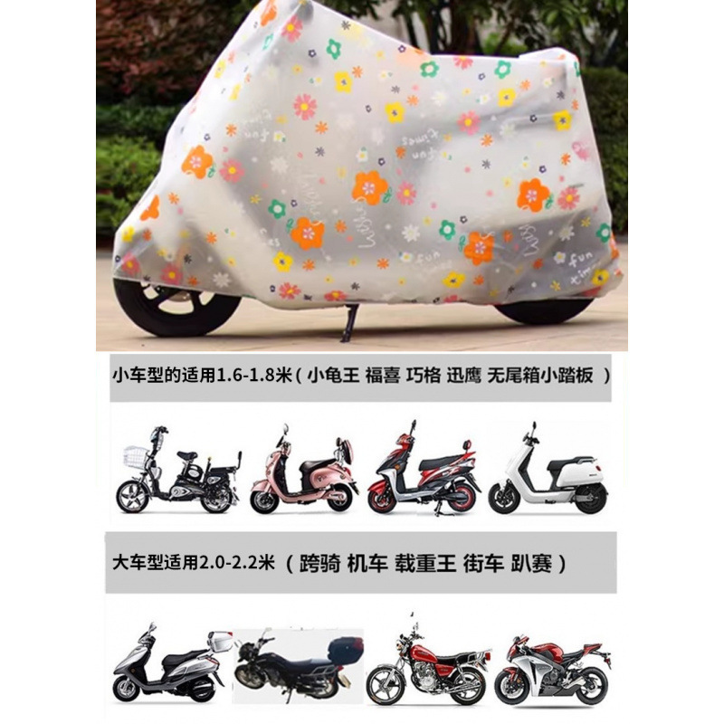 [업그레이드된 반투명 스타일] 해바라기 - 종합 보호/두껍고 단단함