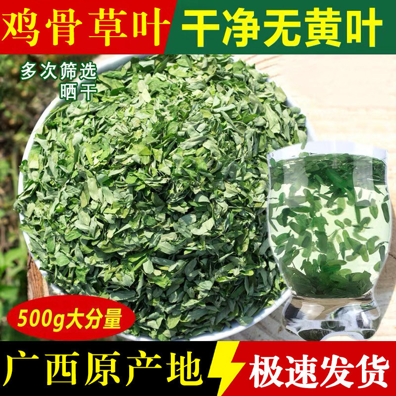 Hot-Selling Genuine Guangxi Wild New Crop Acacia Leaves and Chicken Bone Grass Leaves 500g Fresh Stemless Chicken Bone Grass Leaf Tea