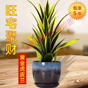 ���B������S��Ƥ�m��Ʒ�Gֲ�҃����Կ͏d������ȩ�����՚�