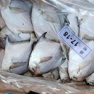 ���r���K�~ ֧�����l�r������K�~ �F؛���rˮ�a���K�~ƽ�~