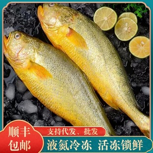 �r�����S�~�ش��S���~����b���r��S�~�S�~��С�S�~���l����