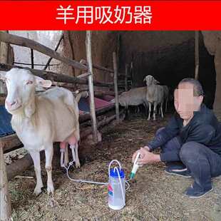 ���������ք����ÔD����С��늄�ţ������������D�̙C�D���̙C�F