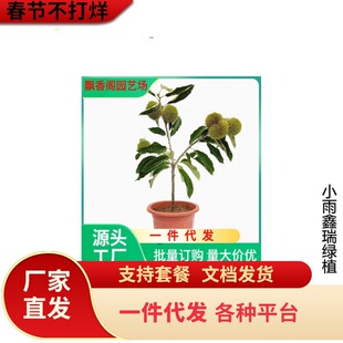 �޽Ӱ������t�۰�������Y���������Ϸ������Nֲ�箔��Y������