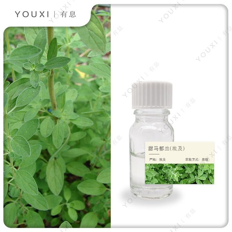 有息甜马郁兰单方精油 埃及进口Marjoram甜马郁兰精油