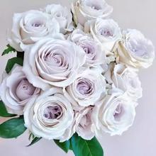 һlyɫrȹ¼_õԻֲNޱGֲ